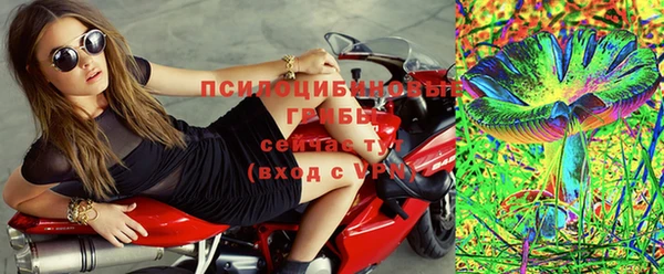 ПСИЛОЦИБИНОВЫЕ ГРИБЫ Алзамай