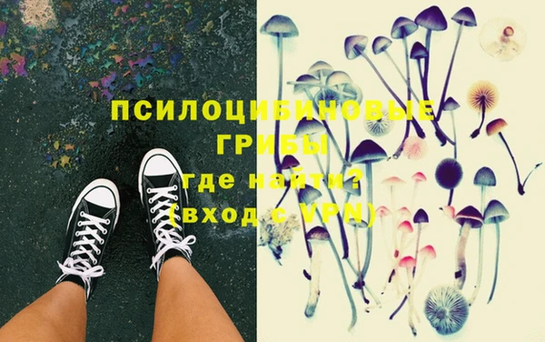 прущие грибы Алексеевка