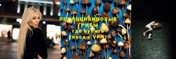 прущие грибы Алексеевка