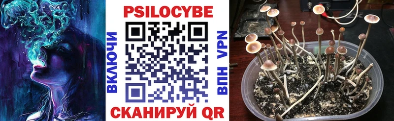 где продают   Лесосибирск  Псилоцибиновые грибы прущие грибы 